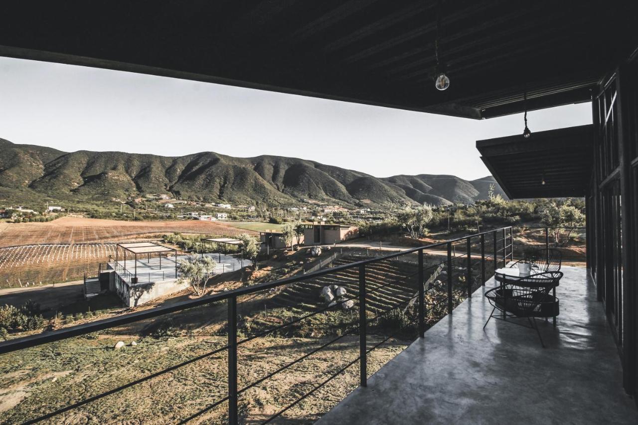 Origen75 Loft - Villas - Skypool - Vinedo, Valle De Guadalupe Exteriér fotografie
