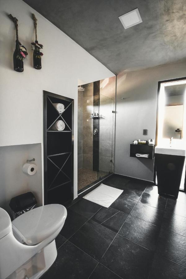Origen75 Loft - Villas - Skypool - Vinedo, Valle De Guadalupe Exteriér fotografie