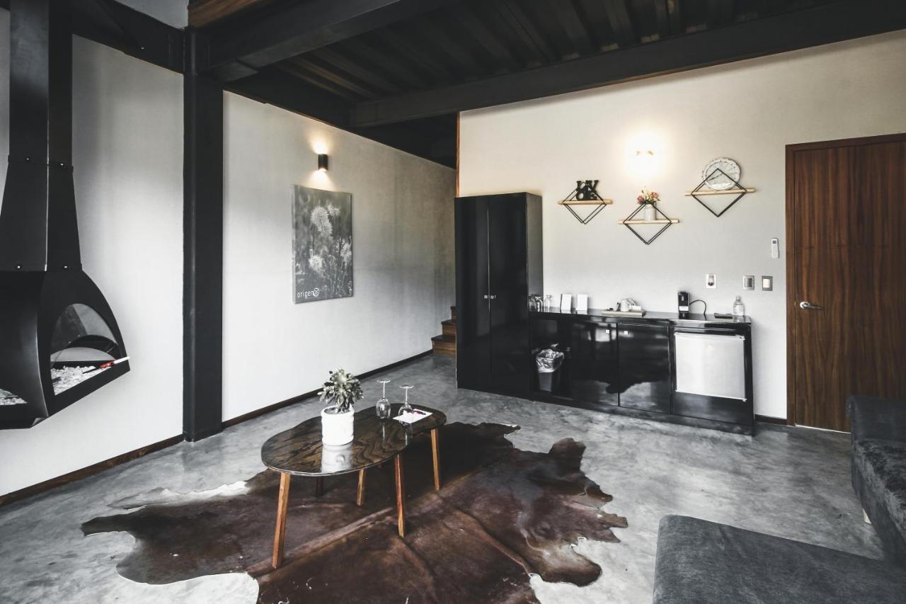 Origen75 Loft - Villas - Skypool - Vinedo, Valle De Guadalupe Exteriér fotografie