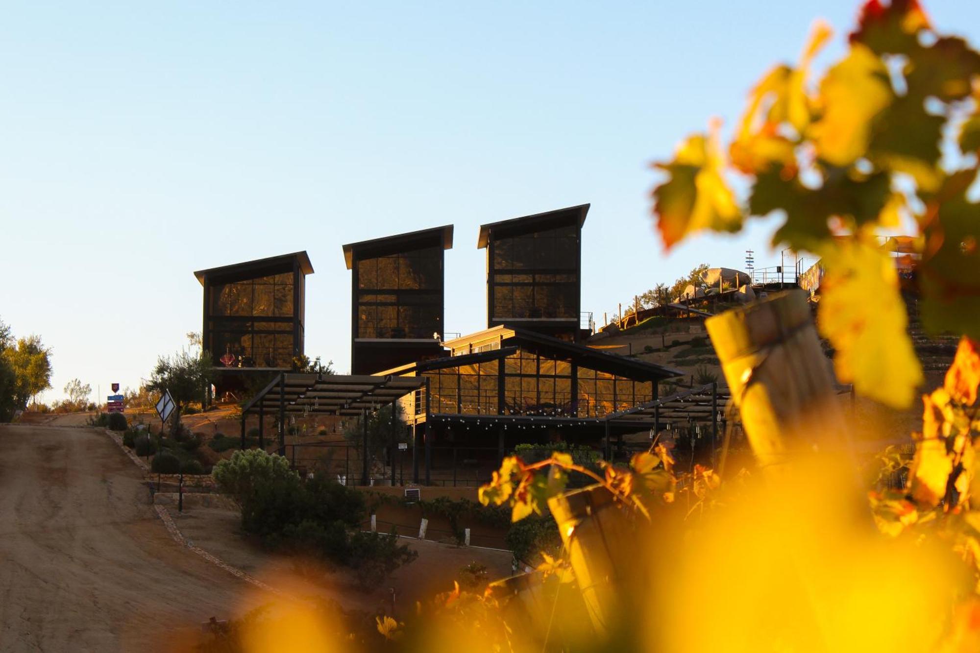 Origen75 Loft - Villas - Skypool - Vinedo, Valle De Guadalupe Exteriér fotografie